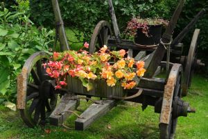 Piękna zagrodaDSC01923.JPG