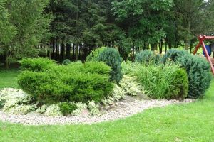 Piękna zagrodaDSC02031.jpg