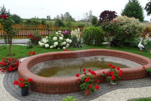 Piękna zagrodaDSC02121.JPG