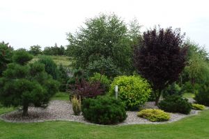 Piękna zagrodaTurbak 1.jpg