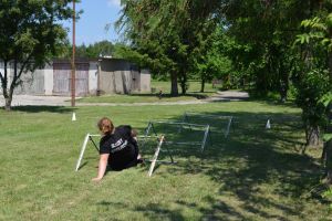 ZS WRONIEds2019116.jpg