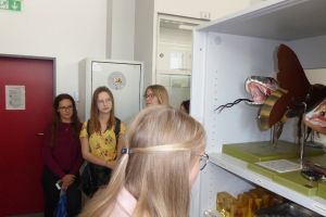 ZSO W WĄBRZEŹNIE62467029_2229226090508747_202567128878940160_o.jpg