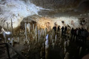 Zespół Szkół w Wąbrzeźnie w Rumunii