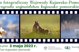 Plakat Przyroda województwa kujawsko-pomorskiego 2023_1 (002)