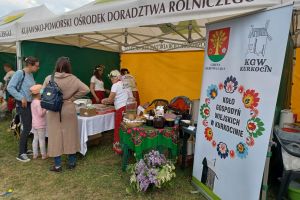 Dzień 2 - stoisko powiatowe