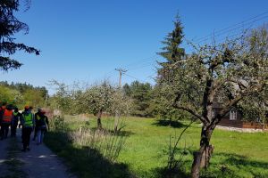 Dzieci podczas wycieczki w rezerwacie przyrody (2)