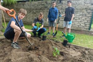 Uczniowie sadzący rośliny w przyszkolnym ogródku (2)