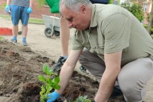 Uczniowie sadzący rośliny w przyszkolnym ogródku (3)
