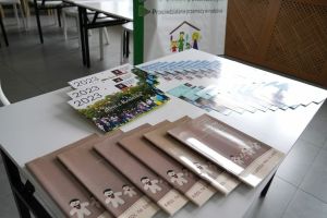 kampania społeczna „Zastępczy Niezastąpieni”