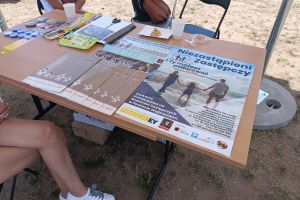 spotkania promujące pieczę zastępczą (3)