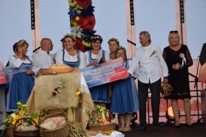dożynki wojewódzkie 2023 (54)