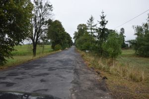 TRZCIANEK (4)