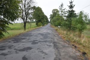 TRZCIANEK (5)