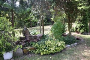 Katarzyna i Tomasz Więckowscy_Jarantowice_II miejsce - najbardziej zadbana zagroda 3