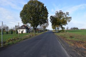 Droga w Kurkocinie (3)