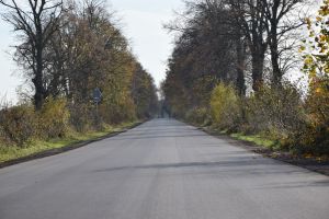 Droga w Kurkocinie (5)