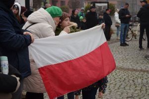 11 listopada - narodowe święto odzyskania niepodległości (45)