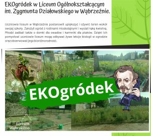 Eko-działania 2