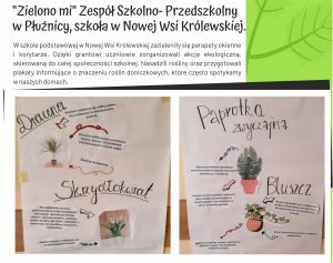 Eko-działania 3