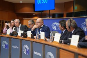 Konferencja w Parlamencie Europejskim w Brukseli  (2)