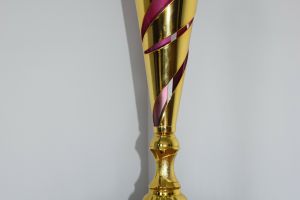III Turniej Samorządowy Gry w Kręgle (9)