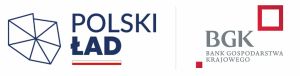 Logo projektu: Polski Ład, BGK