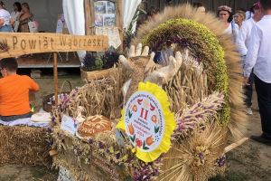 wieniec dożynkowy z kotylionem 5
