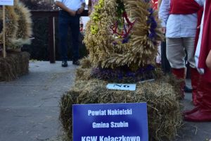 dożynki 11