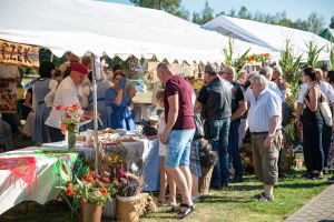 Dożynki Gminno-Parafialne w Książkach (25)