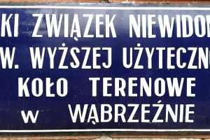Tabliczka z napisem "POLSKI ZWIĄZEK NIEWIDOMYCH STOW. WYŻSZEJ UŻYTECZNOŚCI KOŁO TERENOWE W WĄBRZEŹNIE".