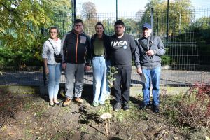 Akcja "Myśl Długoterminowo SADŹ DRZEWA"
