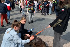 Obchody Dnia Ziemi w Wąbrzeźnie