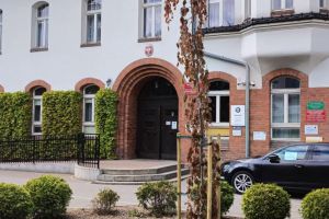 Nowo posadzone drzewa na tle budynku Starostwa Powiatowego w Wąbrzeźnie