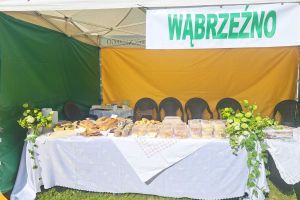 Powiat Wąbrzeski na Targach Turystyczno-Ogrodniczych "Lato na Wsi Święto Smaku i Tradycji" w Minikowie.