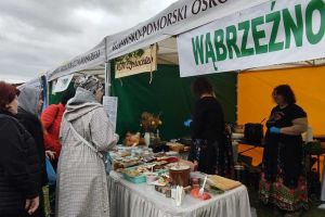 Powiat Wąbrzeski na Targach Turystyczno-Ogrodniczych "Lato na Wsi Święto Smaku i Tradycji" w Minikowie.