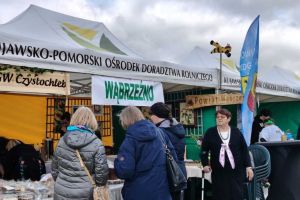 Powiat Wąbrzeski na Targach Turystyczno-Ogrodniczych "Lato na Wsi Święto Smaku i Tradycji" w Minikowie.
