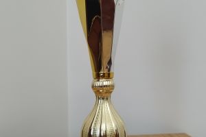 IV Samorządowy Turniej Gry w Kręgle