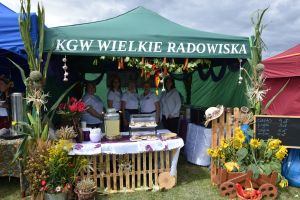 Dożynki Gminno-Powiatowe 2025 w Kurkocinie (47)