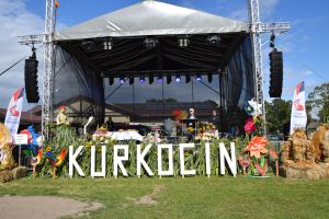 Dożynki Gminno-Powiatowe 2025 w Kurkocinie (64)