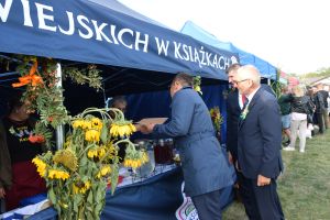 Dożynki Gminno-Powiatowe 2025 w Kurkocinie (107)