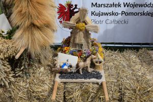 Konkurs na "Najpiękniejszy Wieniec Dożynkowy Powiatu Wąbrzeskiego"