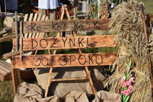 Dożynki wojewódzkie 2025 (28)
