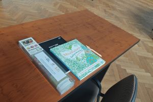 Warsztaty wsparcia dla rodzin zastępczych w Wąbrzeźnie