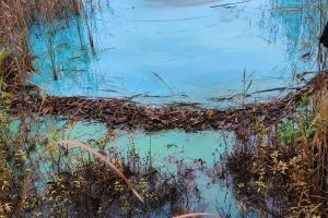 e08580b0-6ea3-4297-911b-a800e25b3bf6 (1)