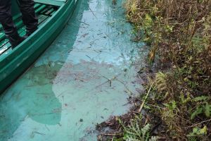 9a3c7f12-75c2-46a8-83fb-383fccbffbbd