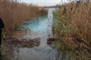 d3ccb67b-a135-4520-bc26-4497f0ccc7e7