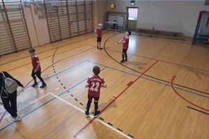 Powiatowe Igrzyska Dzieci w piłce siatkowej dziewcząt i chłopców