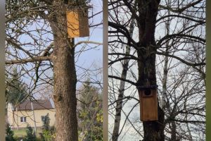 Budynek Specjalnego Ośrodka Szkolno-Wychowawczego we Wroniu po zakończonej termomodernizacji