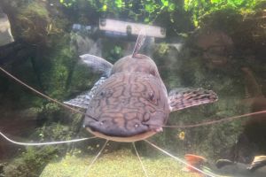 Wycieczki uczniów Zespołu Szkół w Wąbrzeźnie w ramach projektu "Wyjście z klasą"