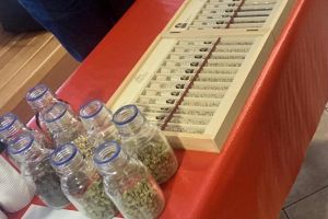 Wycieczki uczniów Zespołu Szkół w Wąbrzeźnie w ramach projektu "Wyjście z klasą"